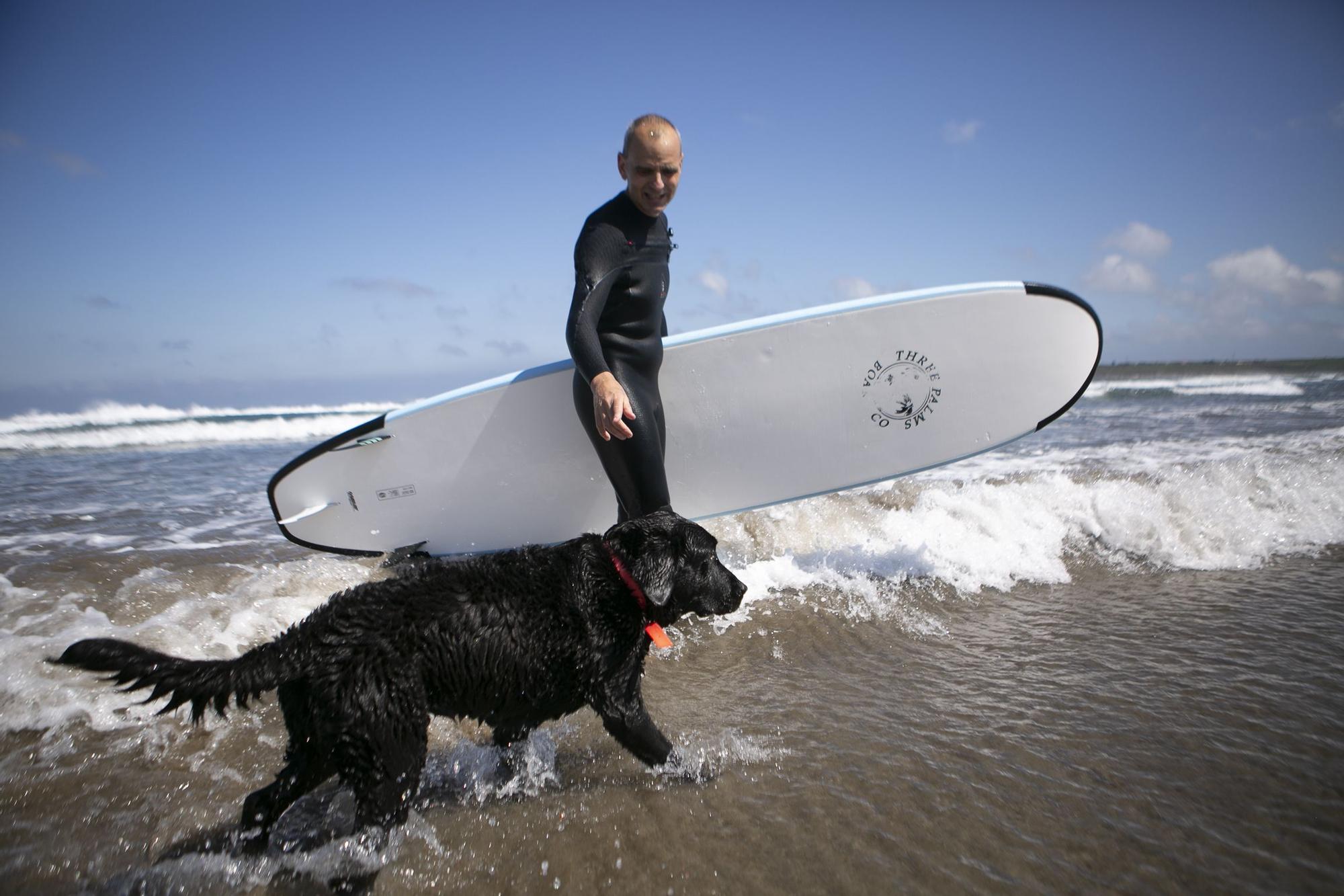En imágenes: así fue el campeonato de surf para perros en Salinas