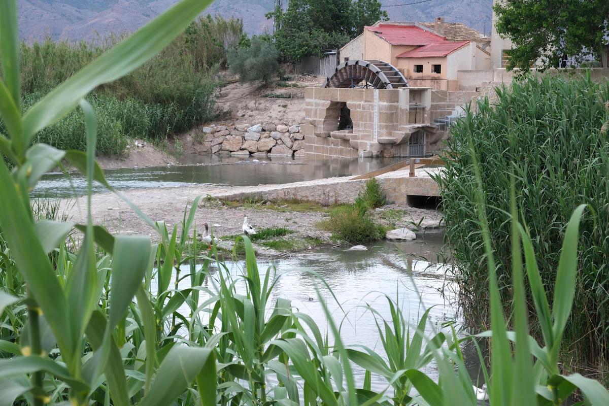 Azud de las norias Moquita y Pando en el Rincón de las Norias de Orihuela, el primer azud regulador de las aguas del Segura en la provincia de Alicante