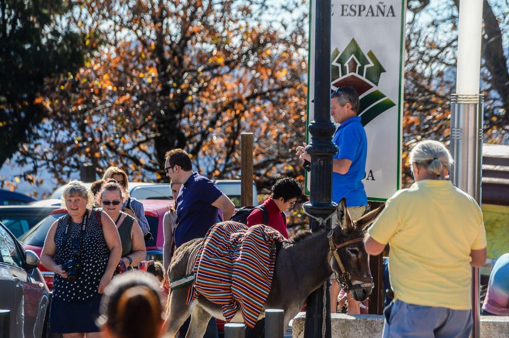 AMBIENTE TURISTAS EN TEJEDA