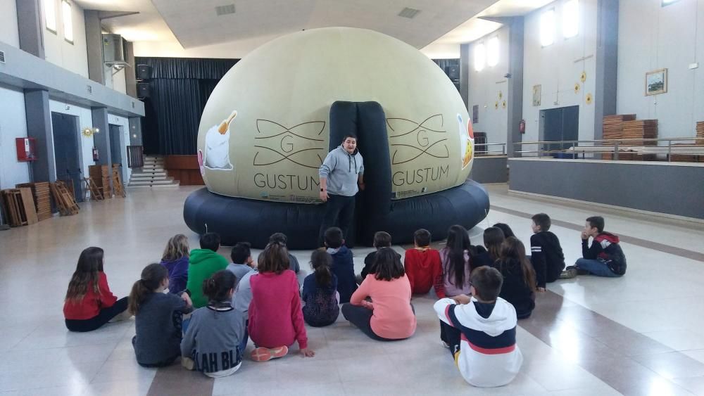 Els alumnes de l''Escola de Borrassà fan jocs amb Gustum.