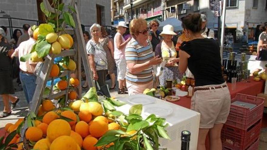  Orangenfest in und um Sóller herum Motiv 