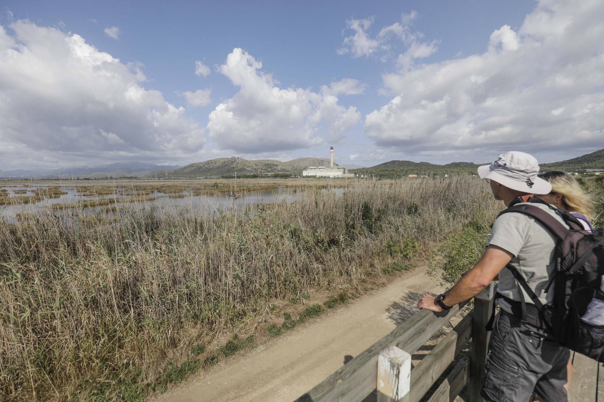 S’Albufera de Mallorca agoniza: Ganan los intereses hoteleros y agrícolas