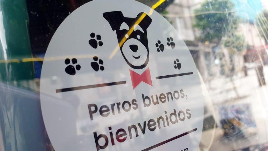 Ya en vigor: la Ley de Bienestar Animal confirma la medida para los bares en Galicia que nieguen la entrada de perros a su local