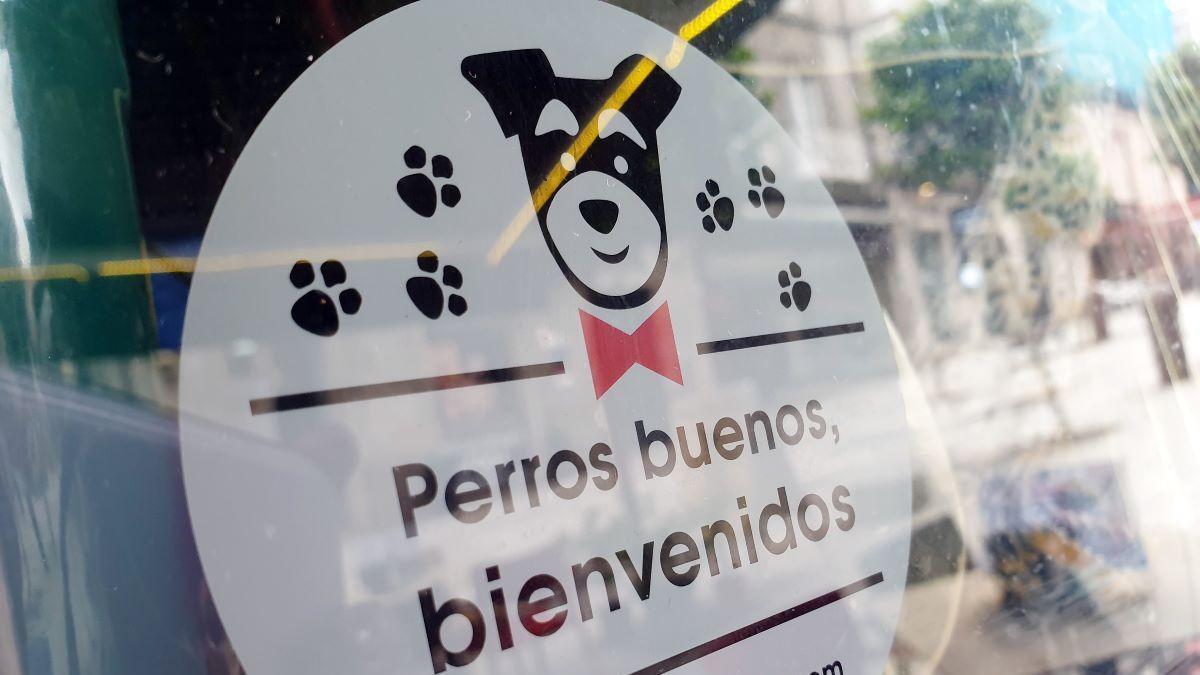 La Ley de Bienestar Animal dictamina si se le puede prohibir la entrada en un bar a los perros.