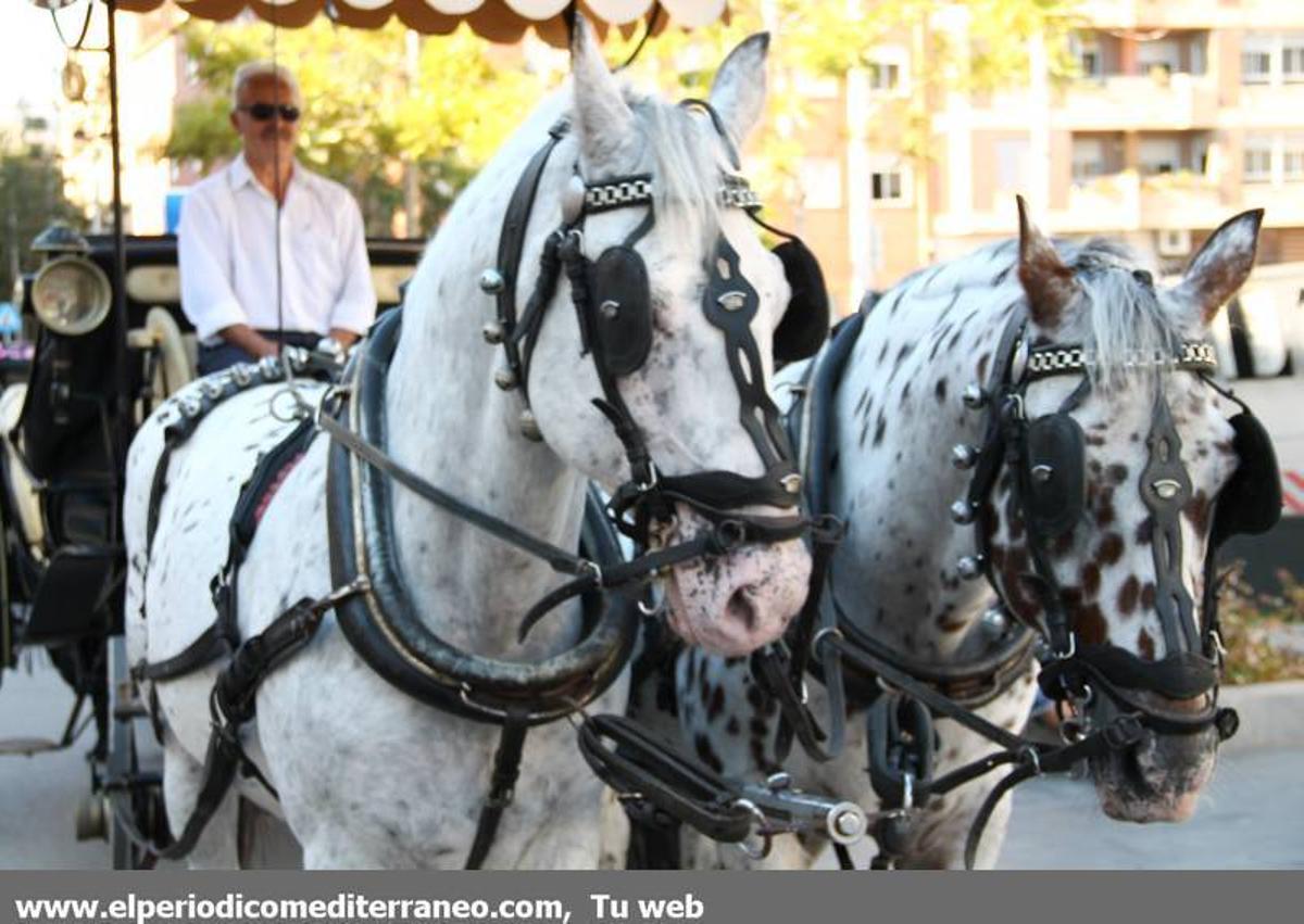 GALERÍA DE FOTOS - Almassora disfruta de una nueva jornada festiva cargada de emociones