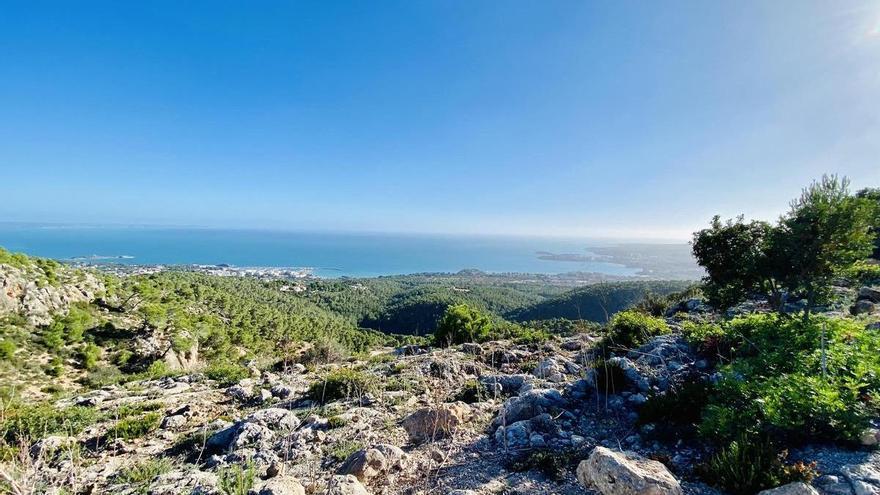 Warum es in einem Dorf im Flachland auf Mallorca nachts kälter ist als auf dem höchsten Berg