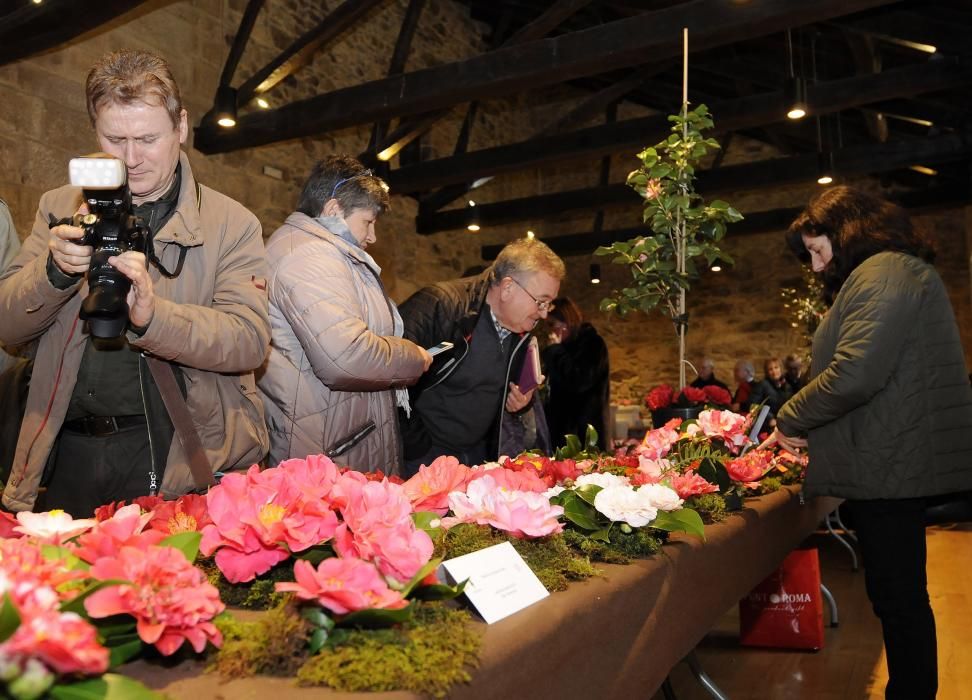 El cocido se abre paso con juegos, flores y música