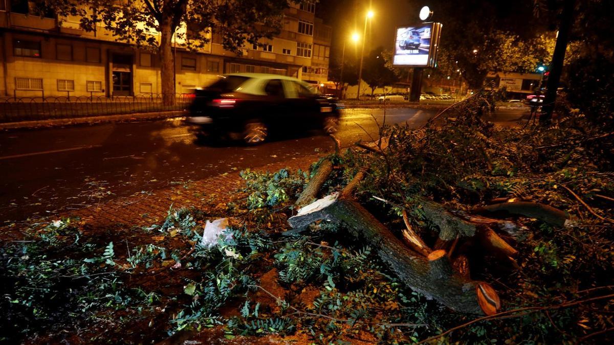 Árboles caídos por el suelo a causa de los vientos de la tormenta tropical 'Leslie', en Benfica (Portugal)