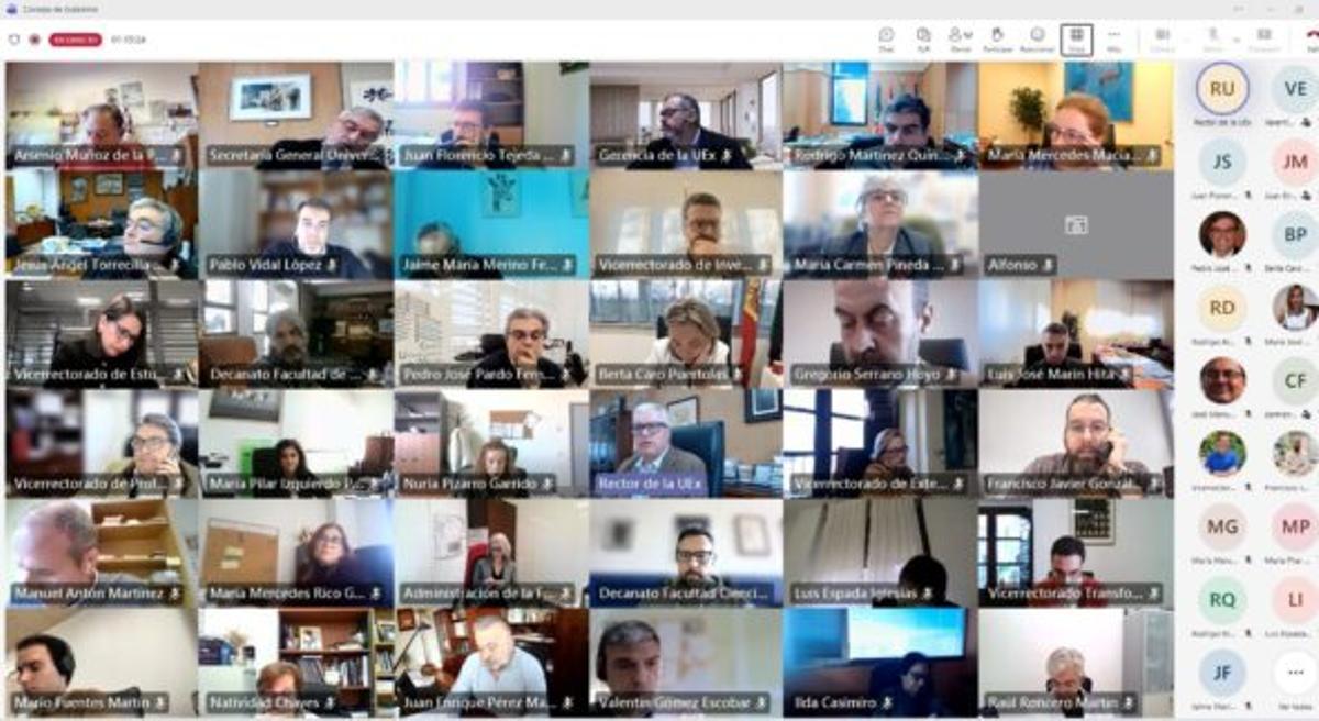El Consejo de Gobierno de la UEx reunido de forma telemática este viernes.