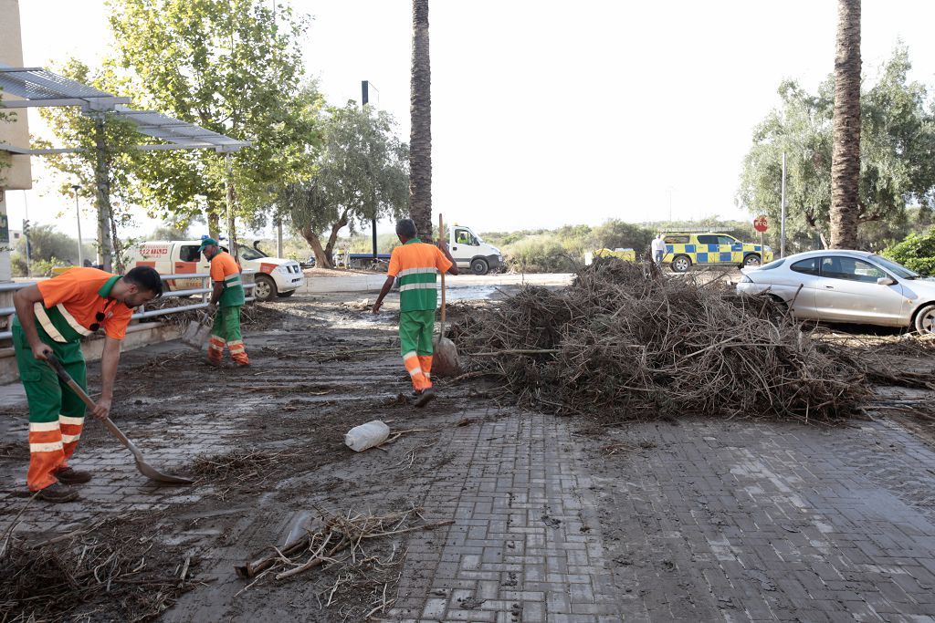 Estas son las imágenes que deja la DANA a su paso por Águilas