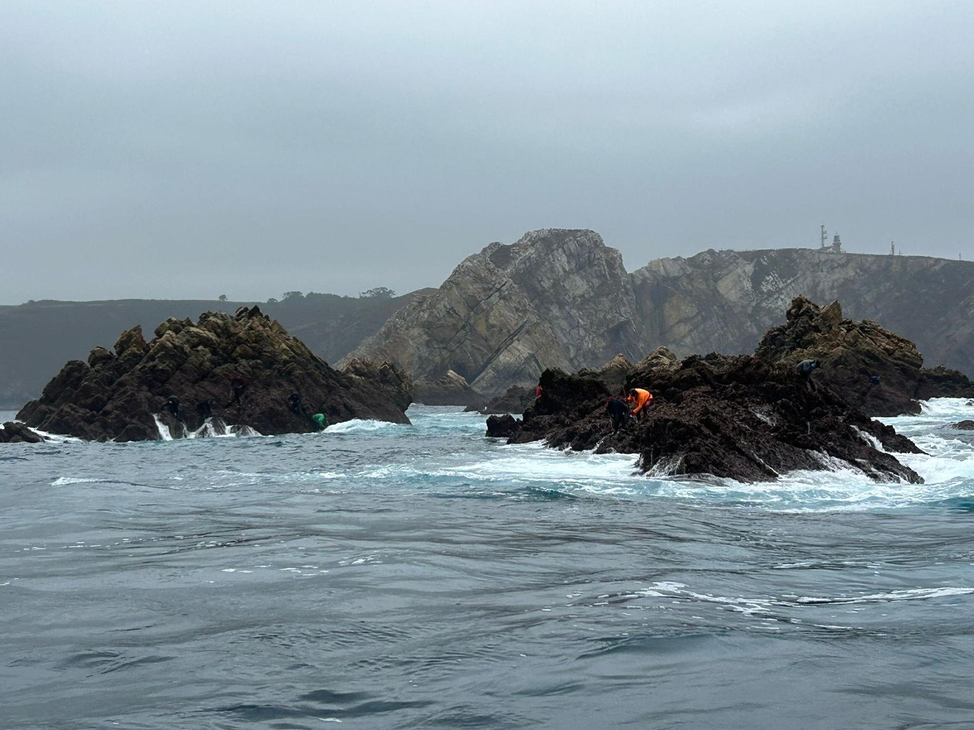 EN IMÁGENES: Así luchan los mariscadores de Luanco por cada kilo de percebe en el cabo Peñas