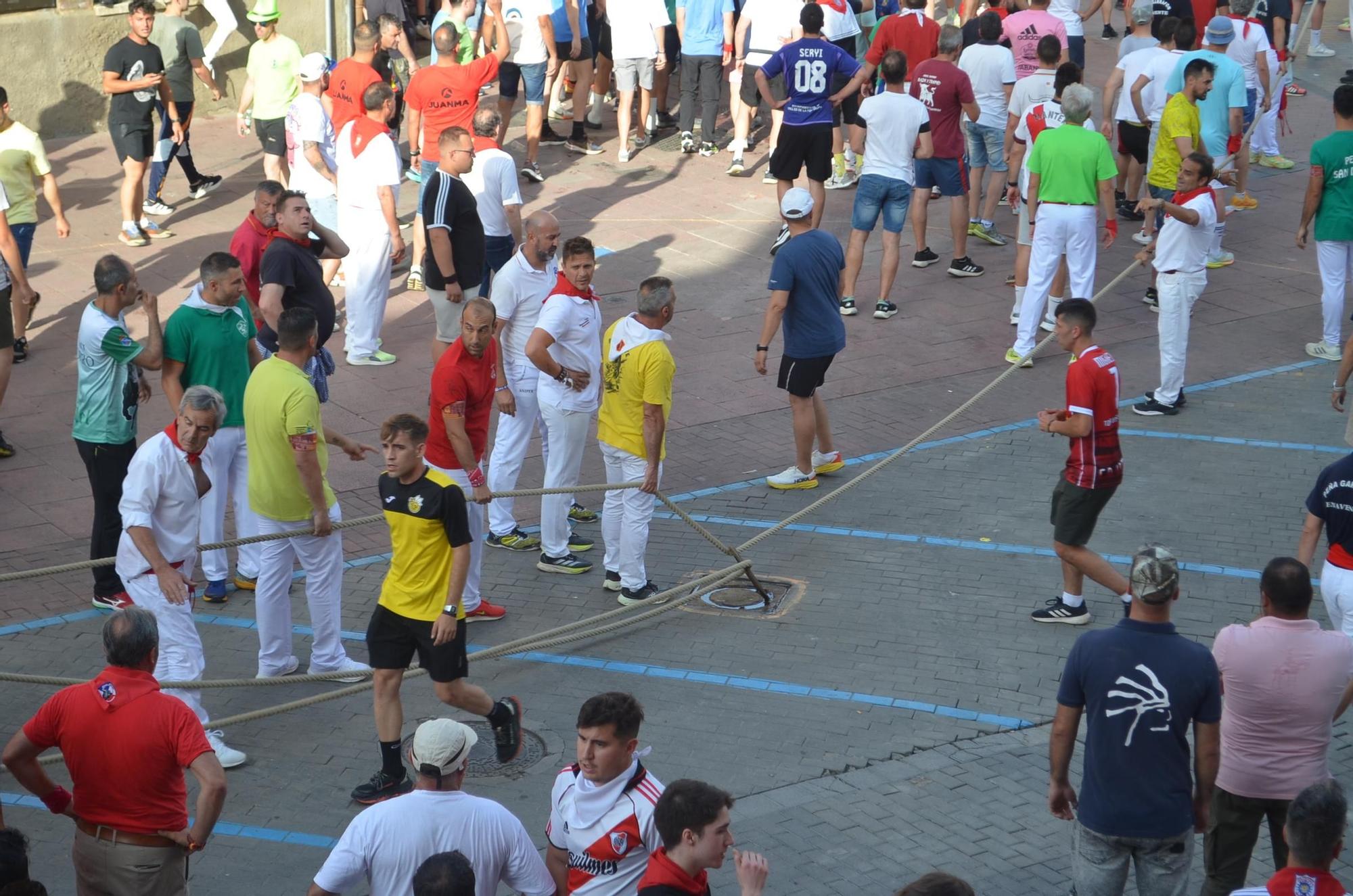Así ha sido la carrera del torito Espléndido en Benavente