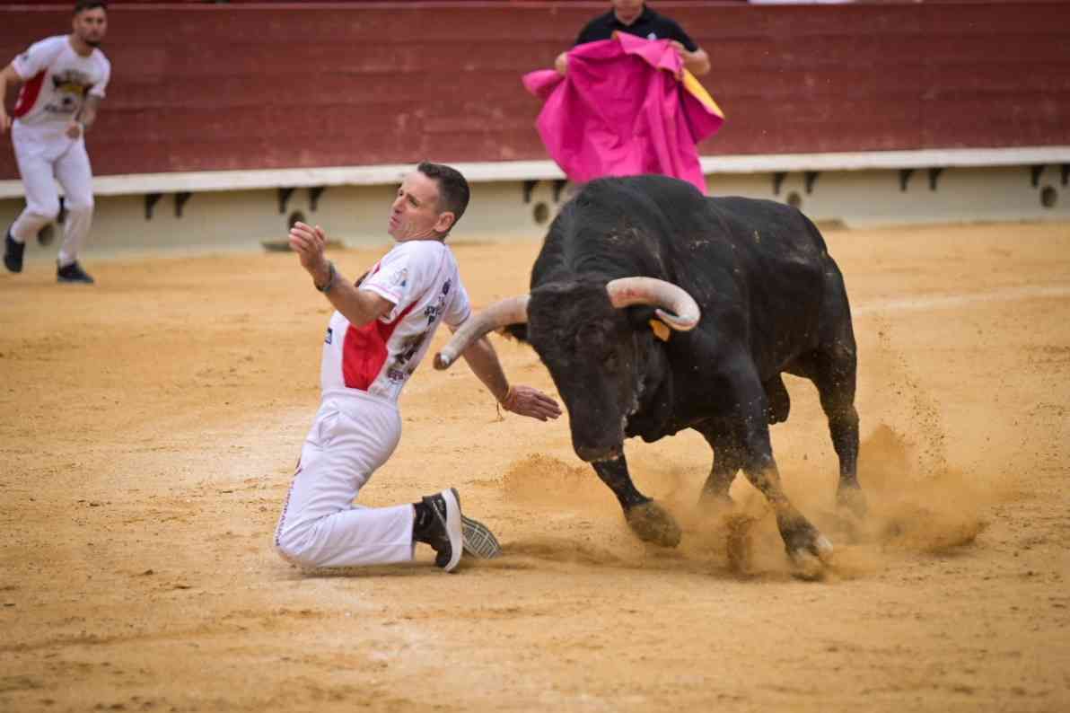 Así ha sido el Concurso Nacional de Recortadores de Castellón