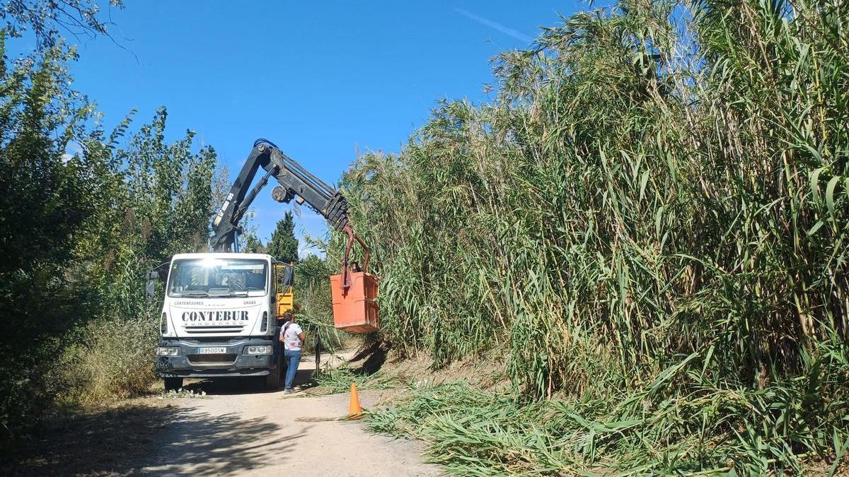 El contrato incluye como novedad la ampliación de nuevas zonas de reforestación.