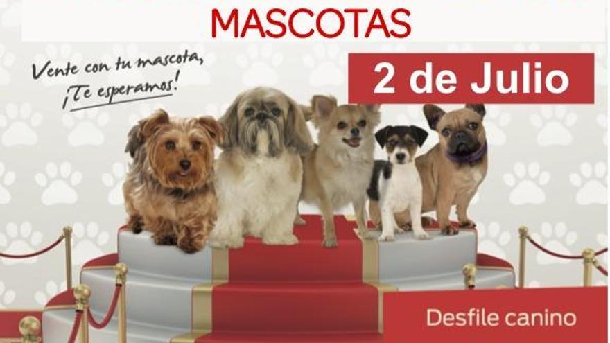 Recogida de alimentos y Gran Evento de Mascotas en el Centro Comercial Travesía