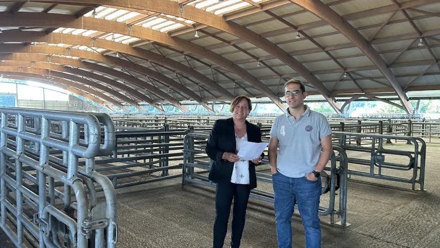 Mejoras en el mercado de ganados de la Pola: esta es la nueva inversión municipal en el recinto