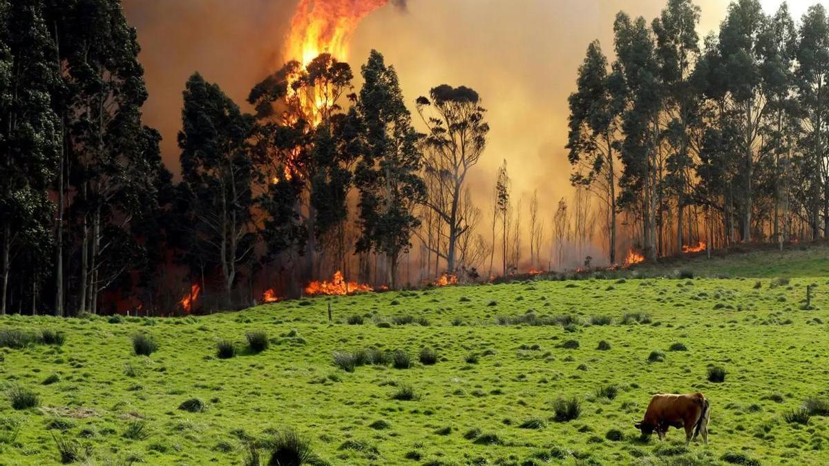 Incendio forestal en las inmediaciones de Naves de Llanes (Asturias), en una imagen de archivo.