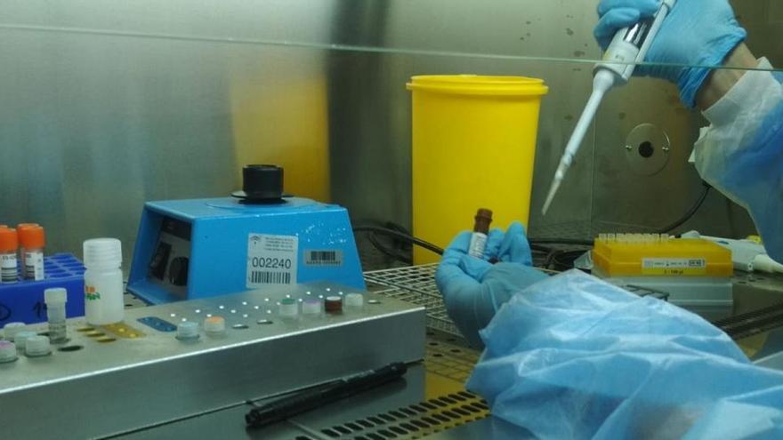 Salud coordina una &quot;amplia&quot; red de laboratorios para diagnóstico con las universidades