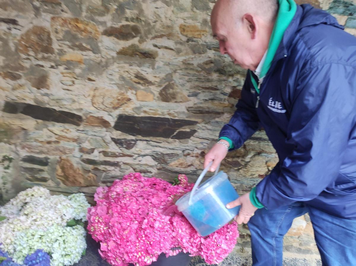 En imágenes: Castropol se llena de flores para el Corpus