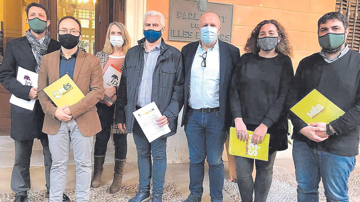 Representantes de El Pi, Més per Mallorca y Més per Menorca, impulsores del recurso.