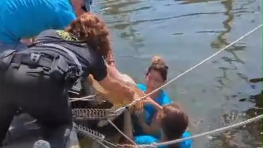 Rescatan a una tortuga marina en el puerto de Palma