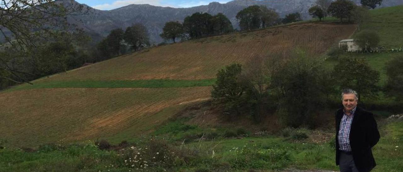 Antón Puente, junto a las parcelas destinadas a los viñedos en Nevares.