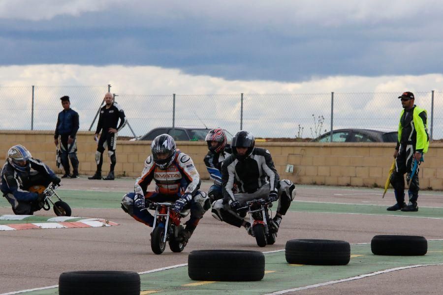 Exhibición de Minimotos en Morales del Vino