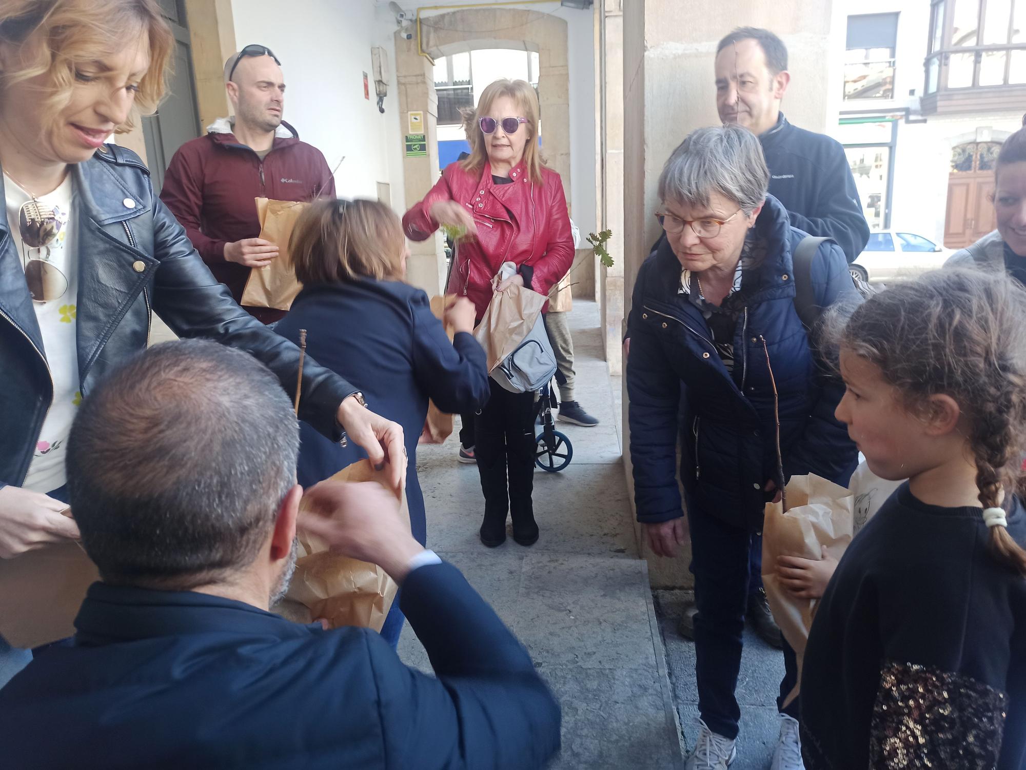 Árboles para la huerta, para cerrar una finca o para replantar en el monte en Siero: así son los usos que dan los vecinos a los plantones repartidos por el Ayuntamiento