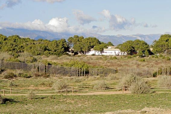 In Es Carnatge, dem letzten unverbauten Küstenabschnitt Palmas, aasten einst die Geier. Nun soll hier ein Park entstehen.