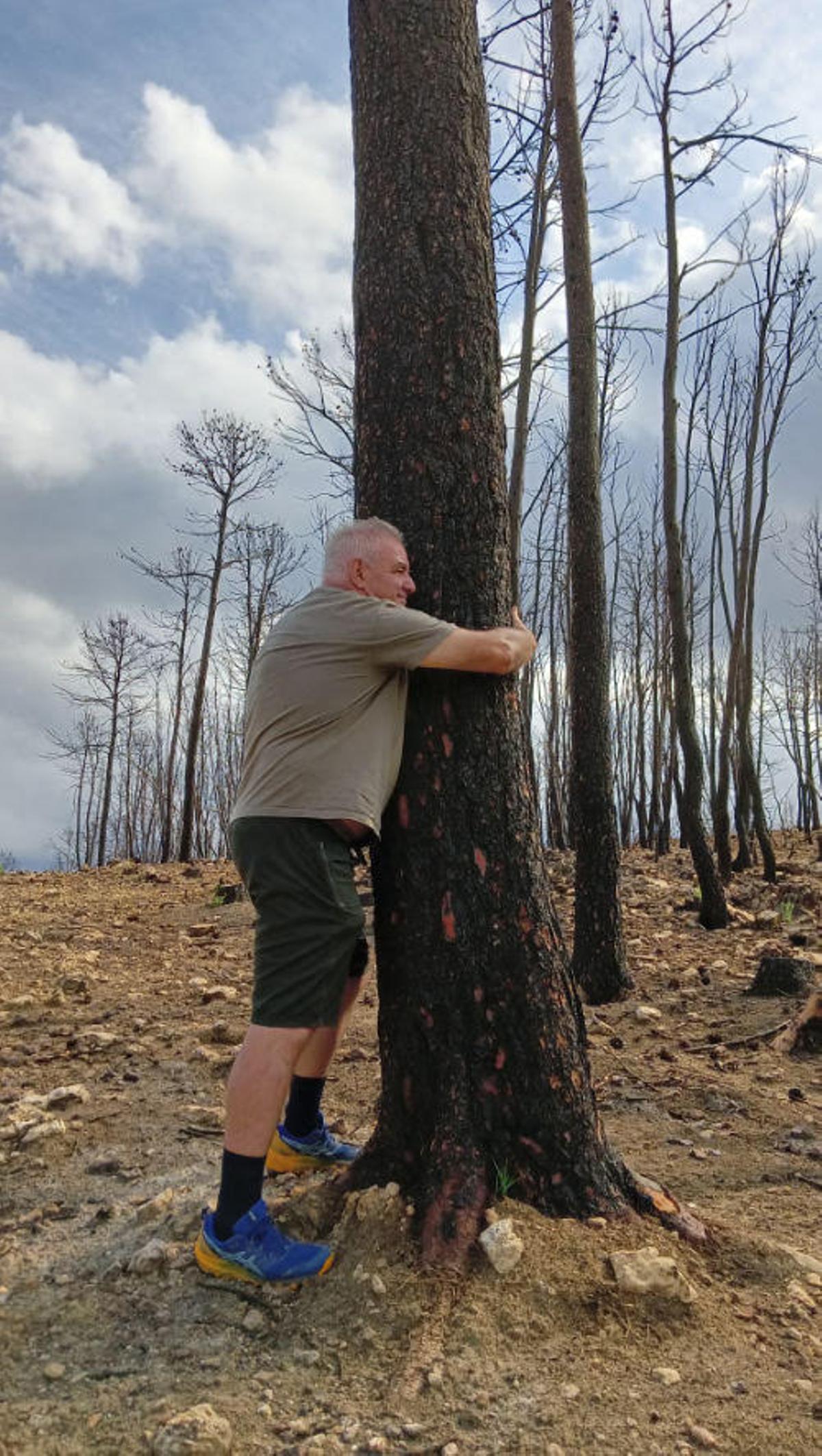 Abrazado a un árbol