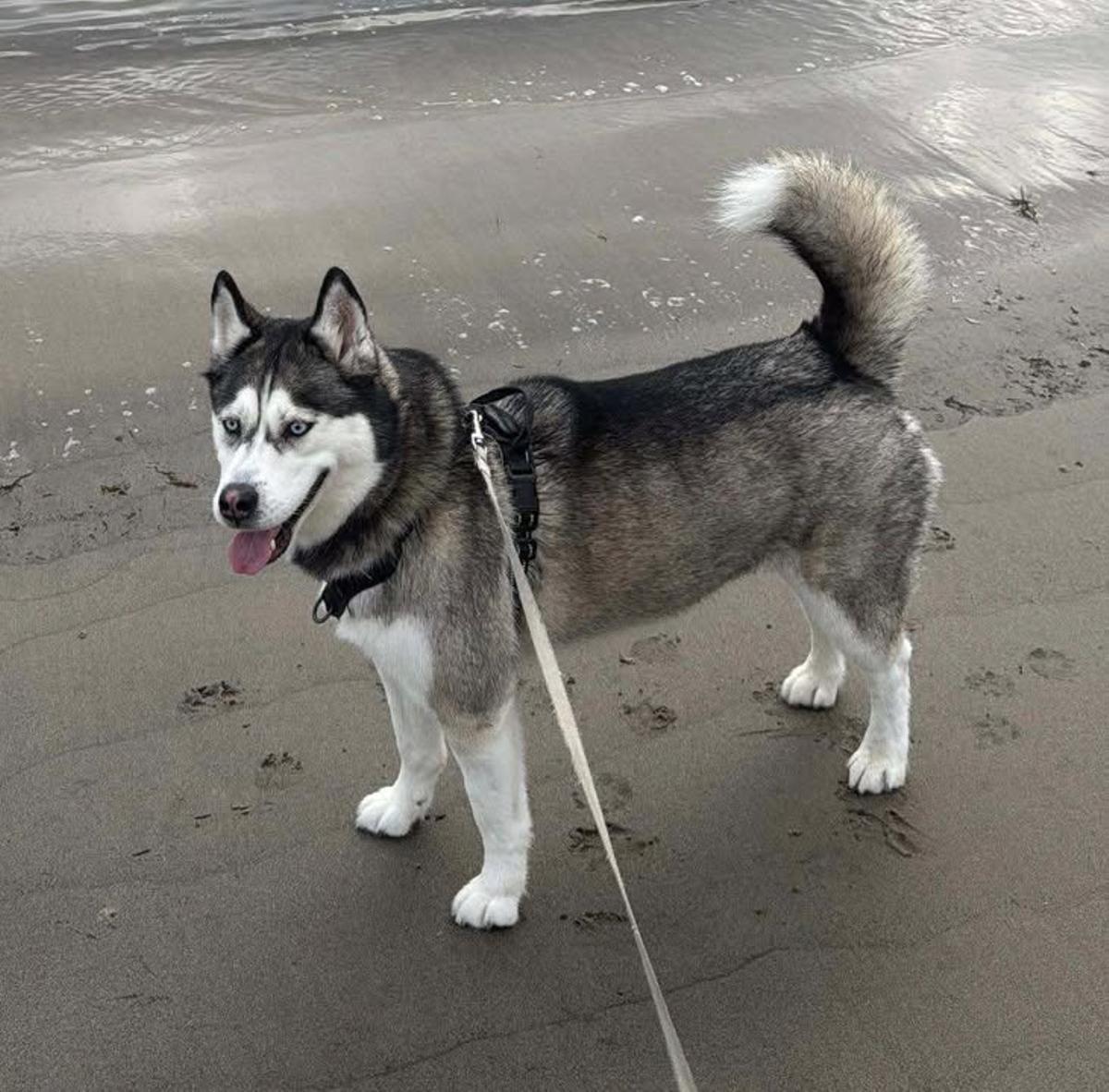 Kira tiene tres años y desapareció el día 29 de octubre.