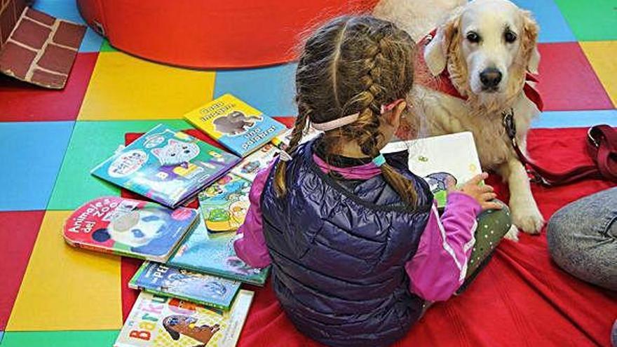 La perra &#039;Nora&#039;, en una sesión con una escolar, en el colegio de Tarrío.