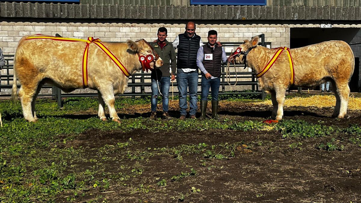 MONTARAZA y ONEMILLION, Gran Campeona y Campeona del concurso de charolés de hembras.