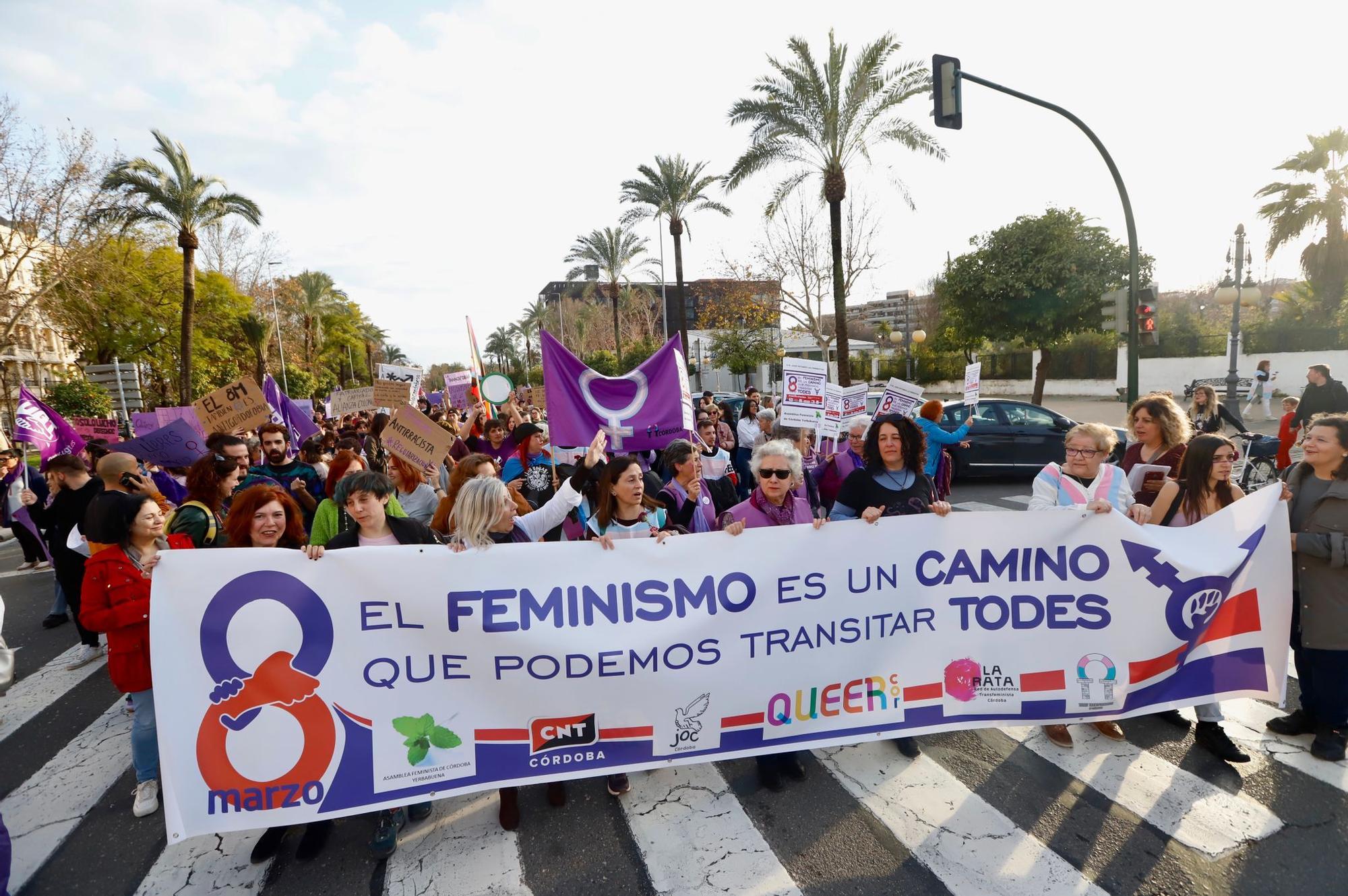 La manifestación del 8M recorre las calles de Córdoba