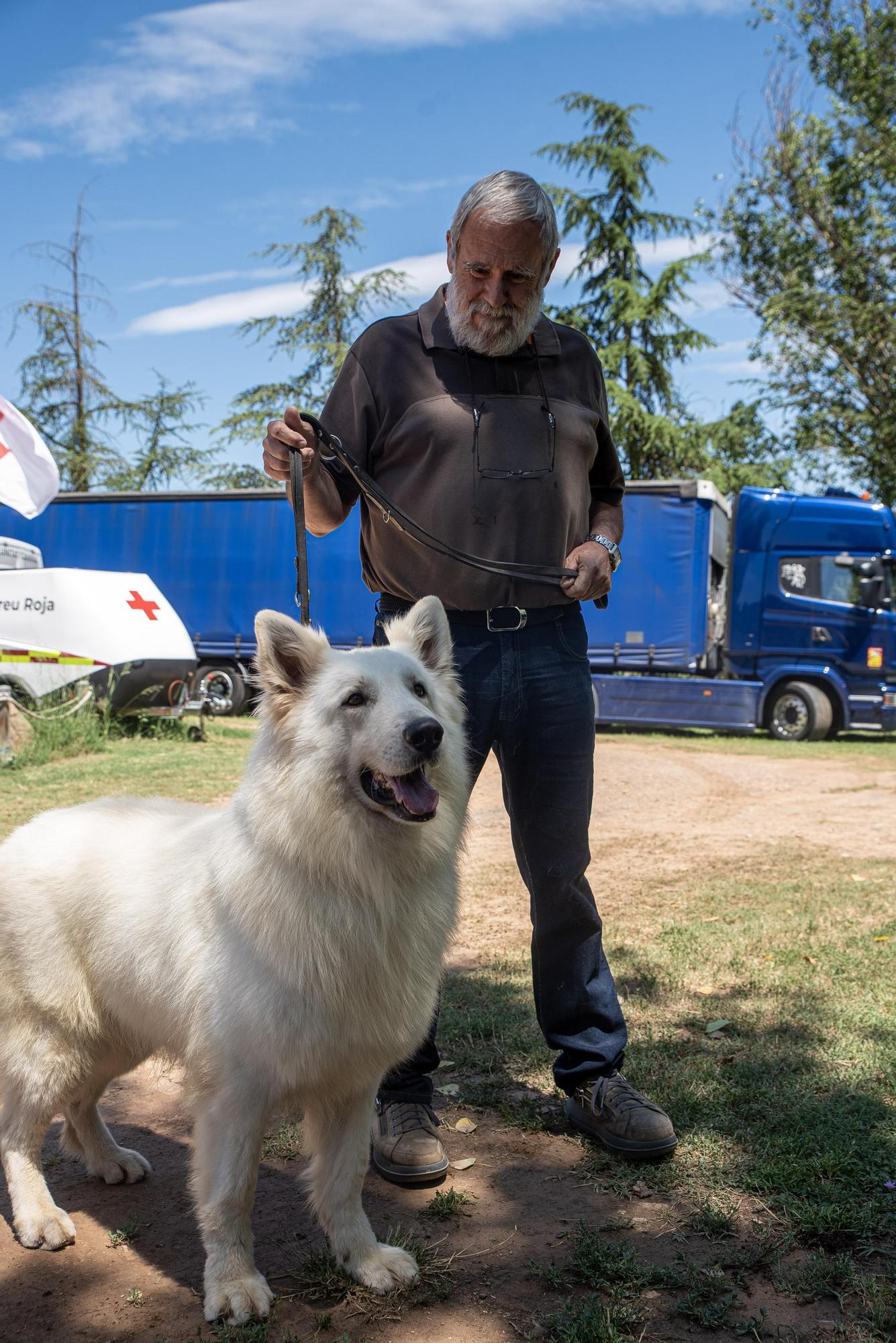 Residències canines:  Tres Pins de Balsareny