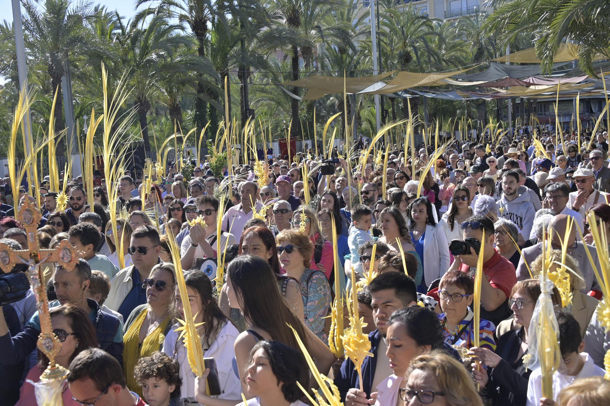 Domingo de Ramos en Elche