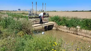 Casi un 5 % de los análisis realizados en l’Albufera muestran restos tóxicos arrastrados por la dana
