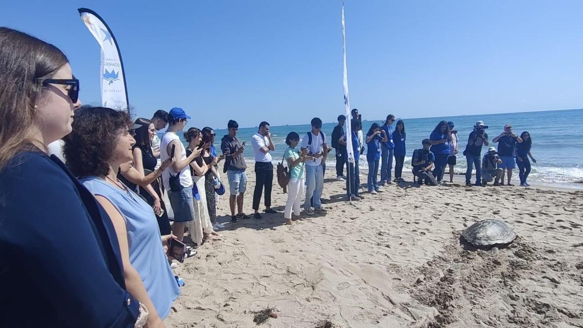 Un grupo de ciudadanos presencia la bajada al mar de una tortuga.