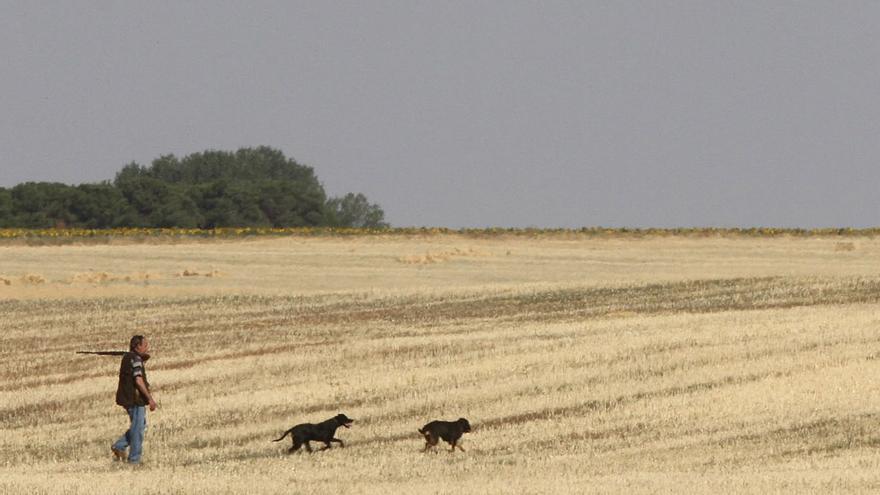 Un hombre caza en el campo.