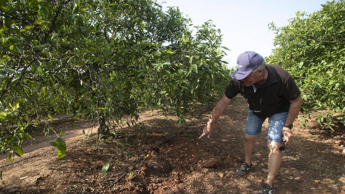 Un agricultor muestra los daños en su campo.