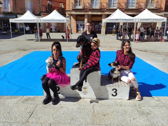 GALERÍA | Así ha sido el Concurso Canino celebrado en Benavente