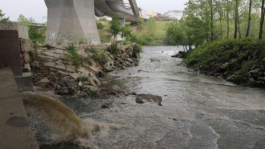 Una de las zonas en donde se produjeron los vertidos al río Miño.  // Iñaki Osorio