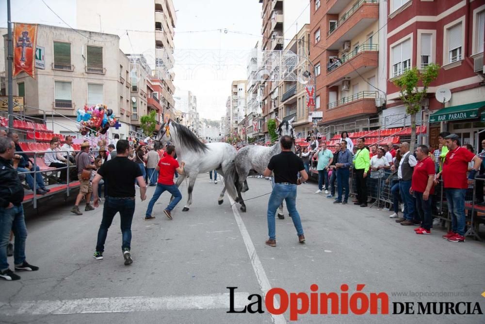 Caballos del Vino: Concurso morfológico (salida Pl