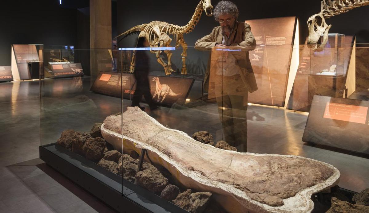 Exposición dinosaurios