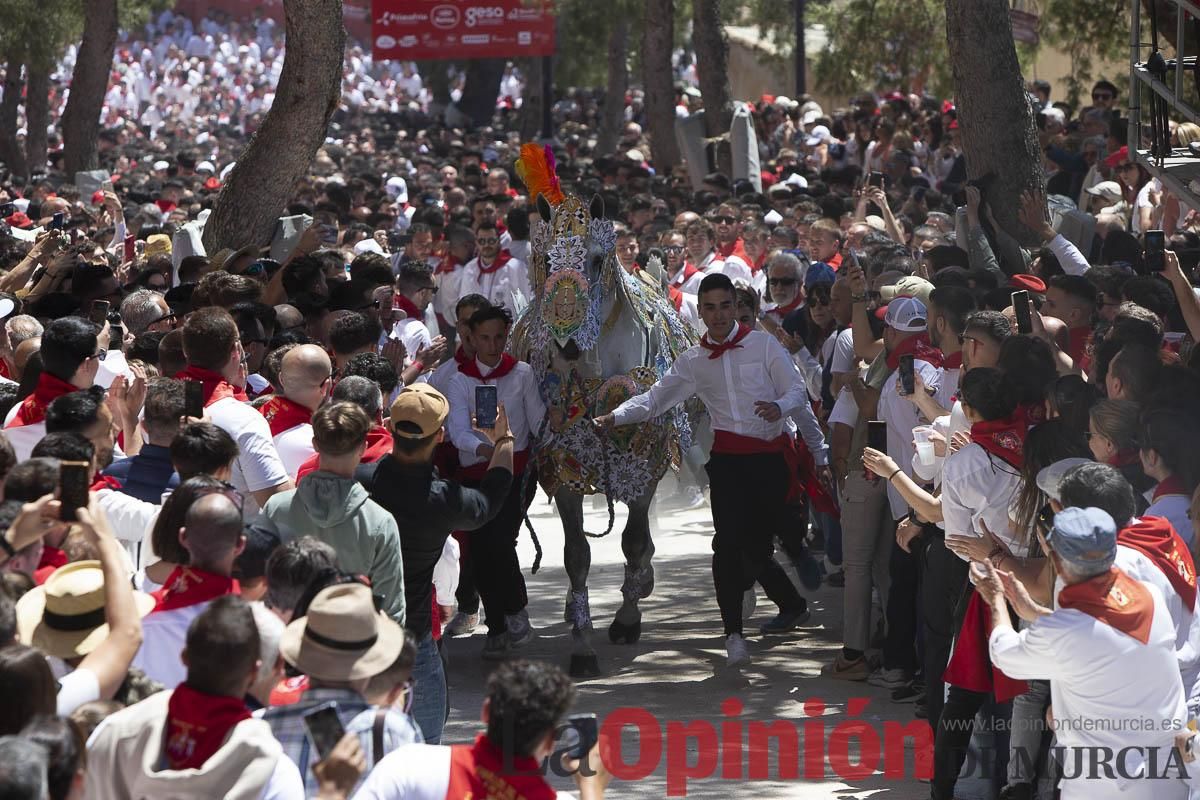 Así se ha vivido la carrera de los Caballos del Vino en Caravaca