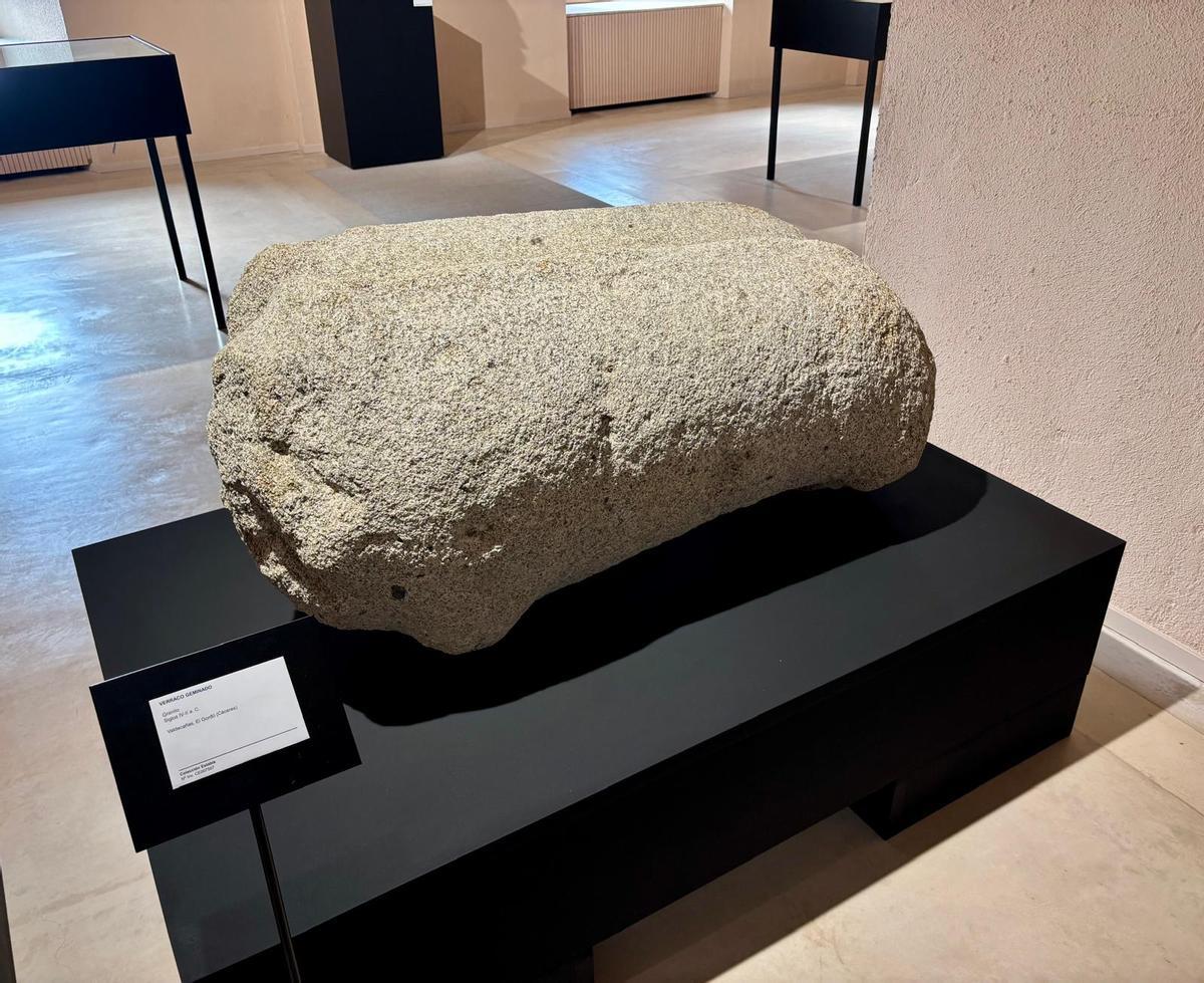 Fotogalería | El Museo de Cáceres incorpora el singular verraco doble hallado en Valdecañas Fotogalería | El Museo de Cáceres incorpora el singular verraco doble hallado en Valdecañas