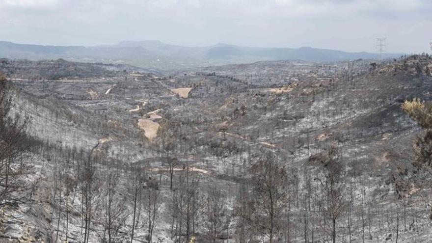 Part de la zona afectada pel foc