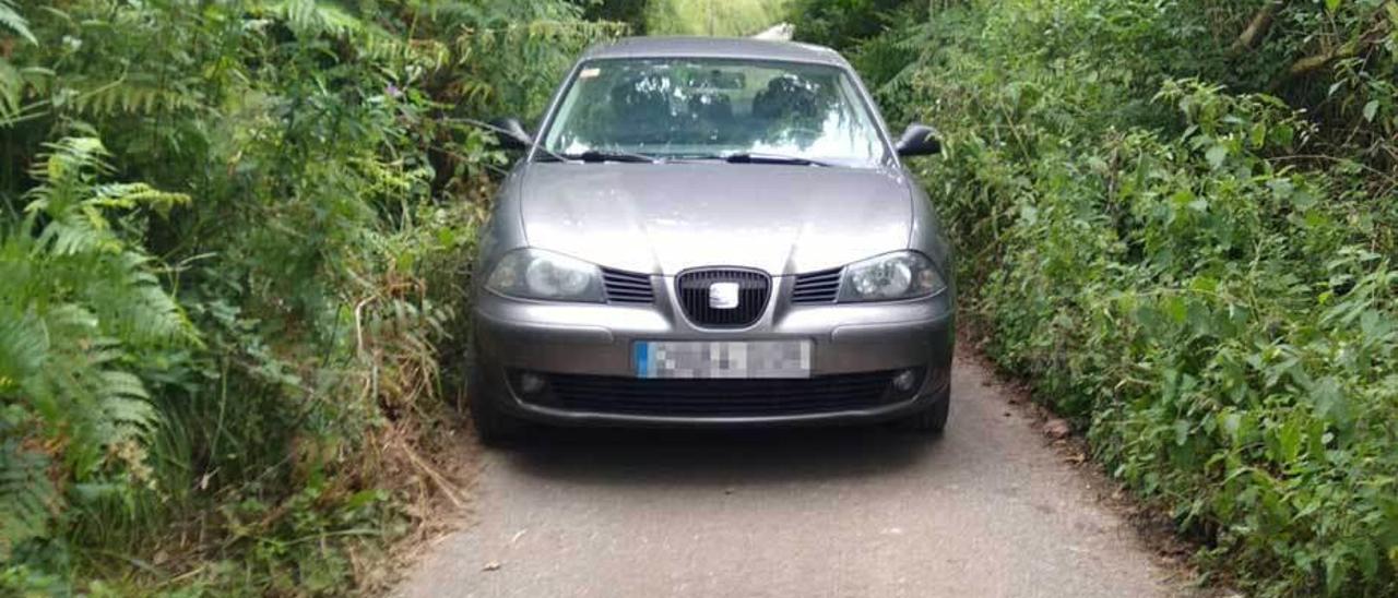 Un coche, en un camino invadido por la maleza en la zona de La Mortera, en Olloniego.