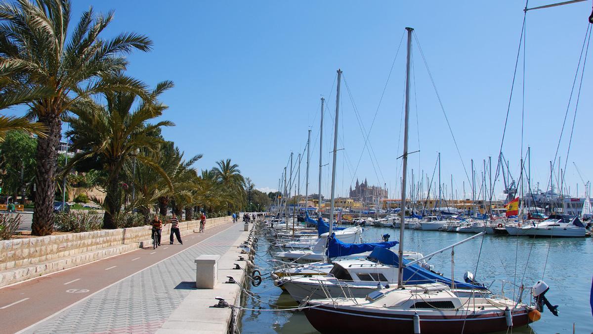 El cadáver apareció flotando en el mar, entre los barcos amarrados en el Paseo Marítimo de Palma.