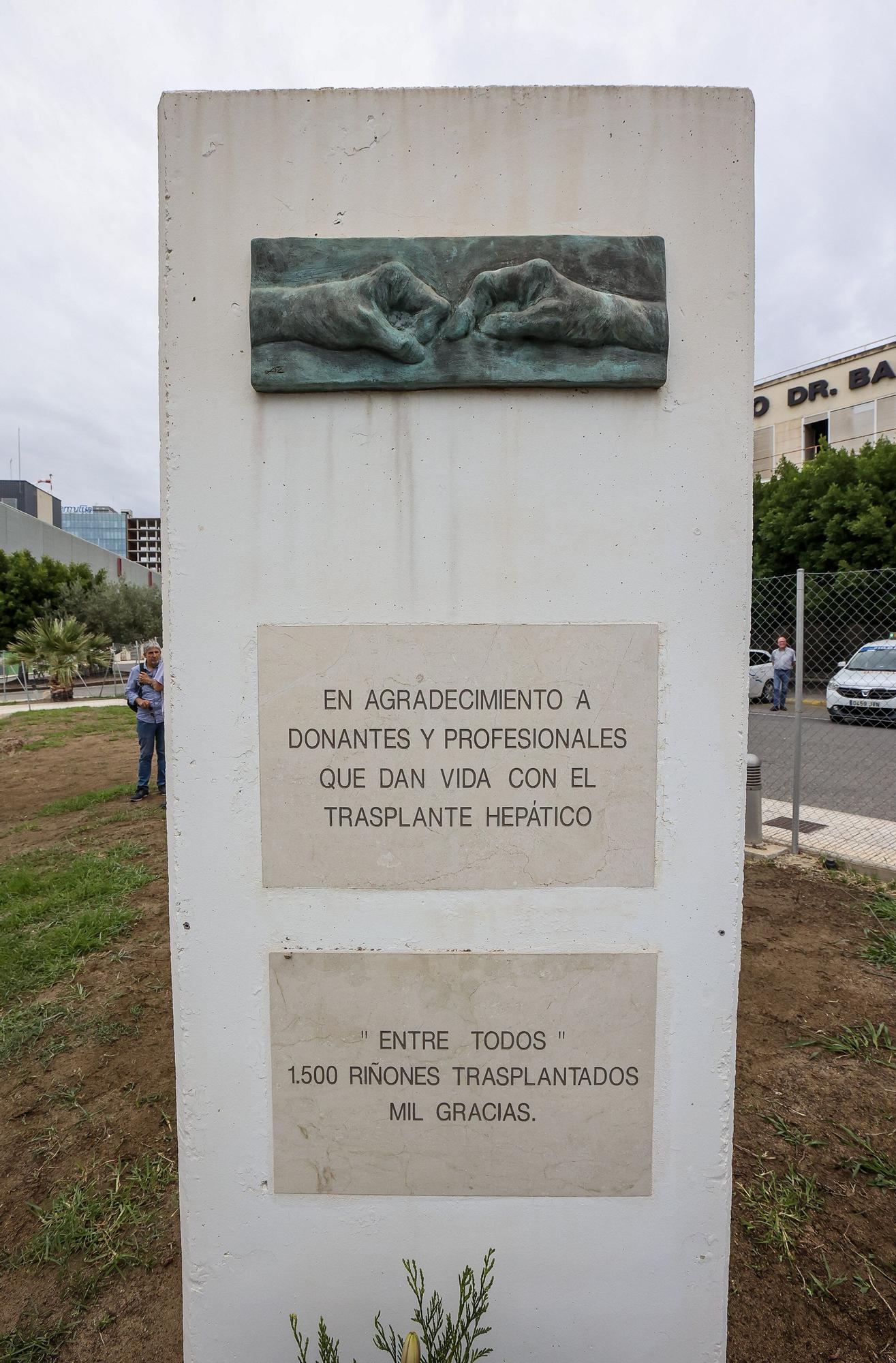 Día del donante de órganos y tejidos en Alicante